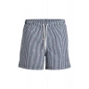 Jack&Jones 12291425 Erkek Sort - Lacivert Cizg