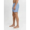 Jack&Jones 12291425 Erkek Sort - Mavi Cizgili