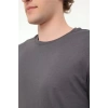 Lumberjack Ct110 0 Yaka Erkek Tshirt - Antrasit