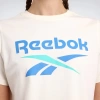 Reebok New Id Reg Crp Tee 0 Yaka Kadin Body - Bej