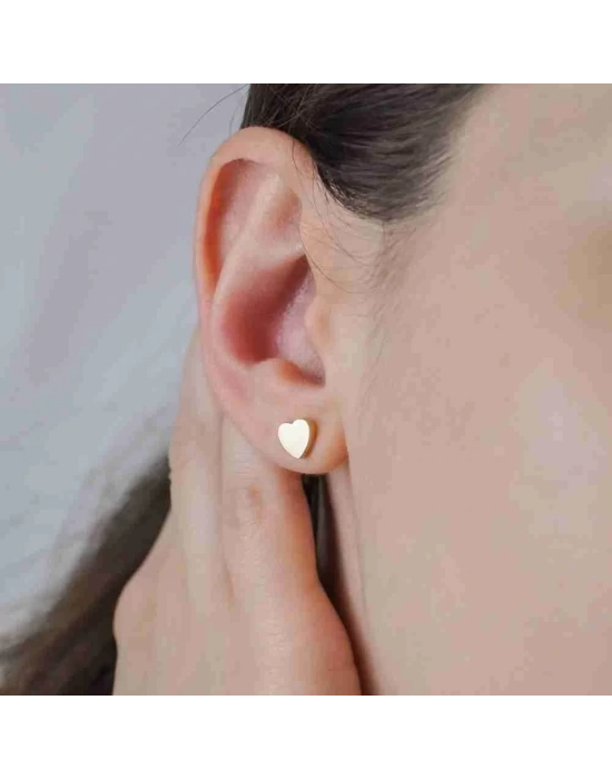 14 Ayar Altın Plaka Kalp Vidalı Küpe