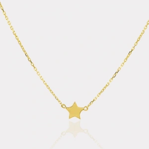 14 Ayar Altın Yıldız Kolye