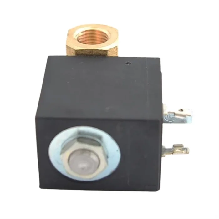 Ütü Solenoid Valf 1/4 (Ayarsız) / TY 70006/AE