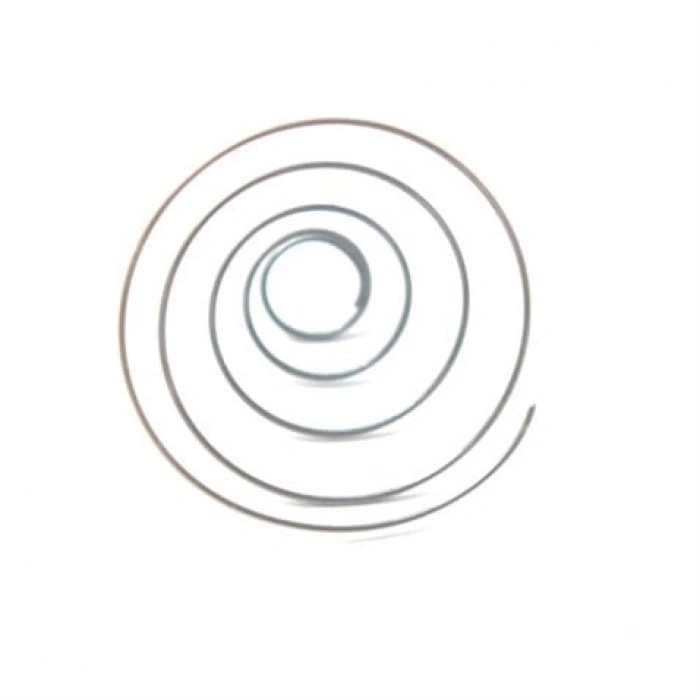 Durkopp Adler Çağanoz İç Konik Yayı