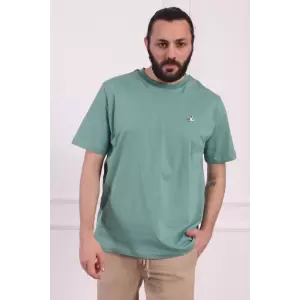 Bisiklet Yaka Erkek Pamuklu Regular Fit Tişört Mint