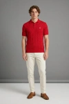 Erkek Premium %100 Cotton (Pamuk) Regular Fit Örgü Triko Polo Tişört - Kırmızı