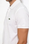 Erkek Premium %100 Cotton (Pamuk) Regular Fit Pike Polo Tişört - Beyaz
