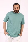 Erkek Bisiklet Yaka Pamuklu Regular Fit Tişört Mint