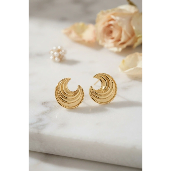 316L Çelik Gold Renk Ay Model Kadın Küpe