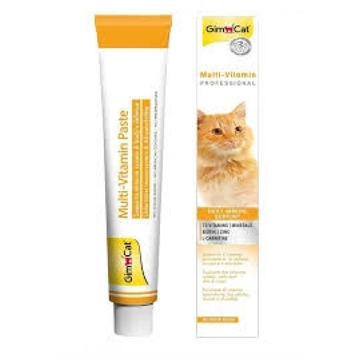 Gimcat Multivitamin 100 Gr
