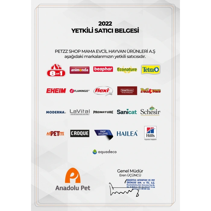 Kong Delikli Top Yavru Köpek Oyuncağı Medium/Large Mavi/Pembe 7.5 Cm