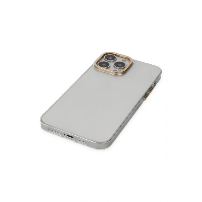 Newface iPhone 13 Pro Kılıf Anka PC Sert Metal Kapak - Şeffaf