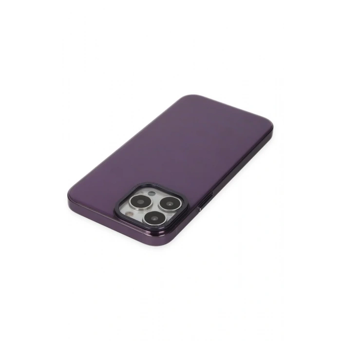 Newface iPhone 13 Pro Max Kılıf Anka PC Sert Metal Kapak - Mor