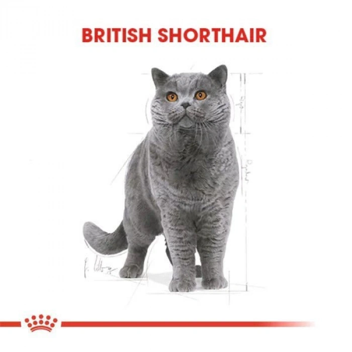 Royal Canin British Shorthair Adult Pouch Konserve Kedi Maması 1 Adet 85 Gr