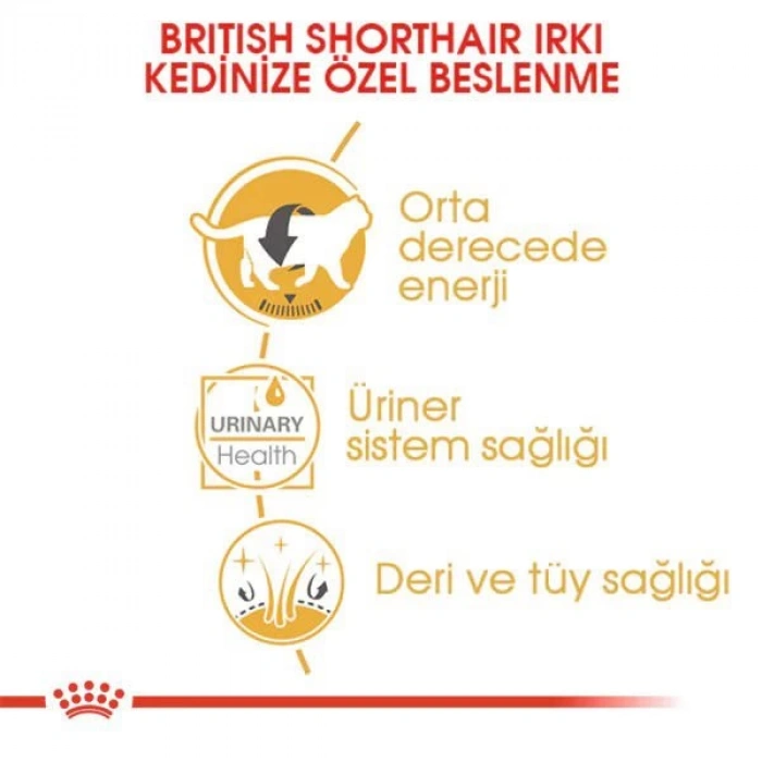 Royal Canin British Shorthair Adult Pouch Konserve Kedi Maması 1 Adet 85 Gr