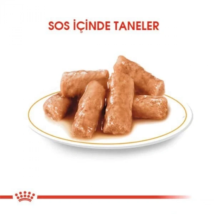 Royal Canin British Shorthair Adult Pouch Konserve Kedi Maması 1 Adet 85 Gr