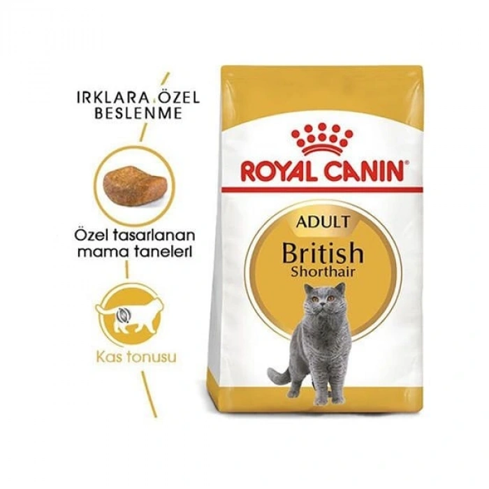 Royal Canin British Shorthair Adult Yetişkin Kedi Maması 400 Gr