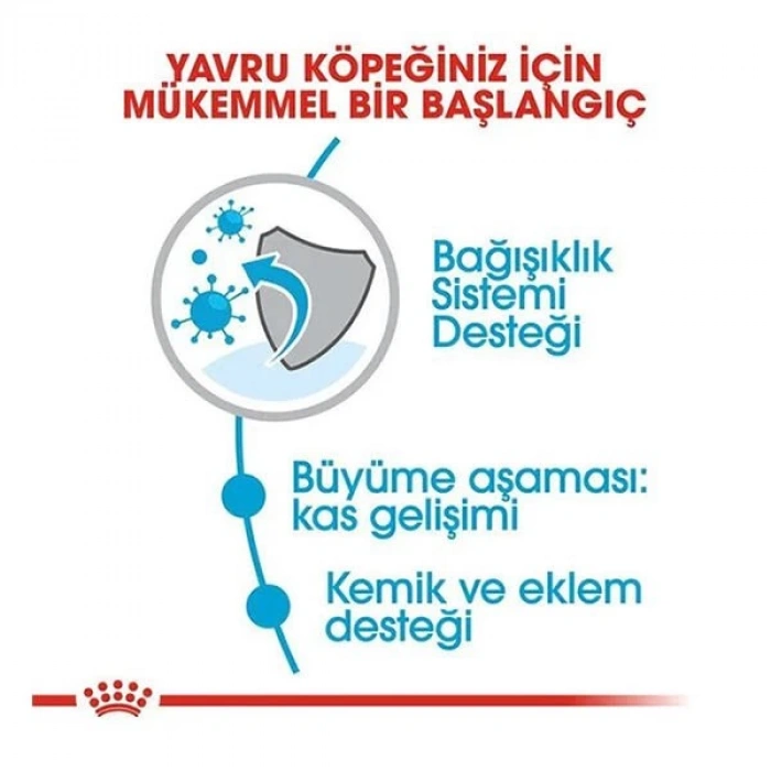 Royal Canin Giant Junior Dev Irk Yavru Köpek Maması 15 Kg