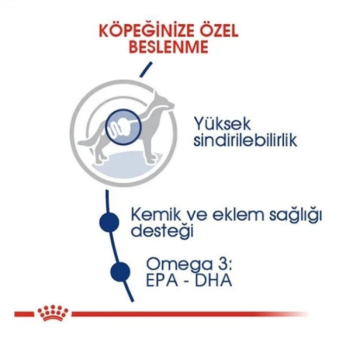 Royal Canin Maxi Adult Büyük Irk Yetişkin Köpek Maması 15 Kg