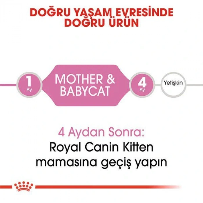 Royal Canin Mother Babycat Anne ve Yavru Kedi Maması 2 Kg