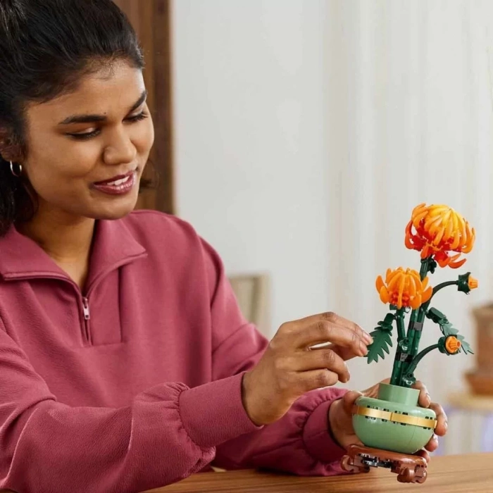 Üreticiniz 10368 İcons - Krizantem - Chrysanthemum 278 Parça +18 Yaş