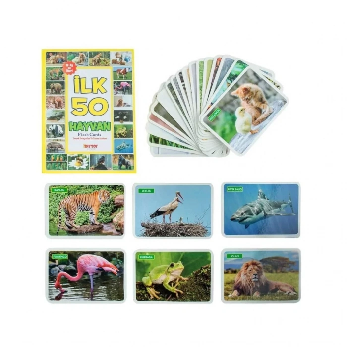 Üreticiniz 1352flashcardsilk50hayvan-dıytoy