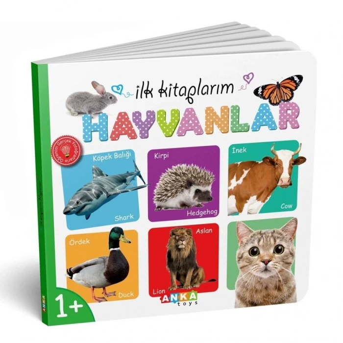 Üreticiniz 7202 İlk Kitaplarım 6lı Set