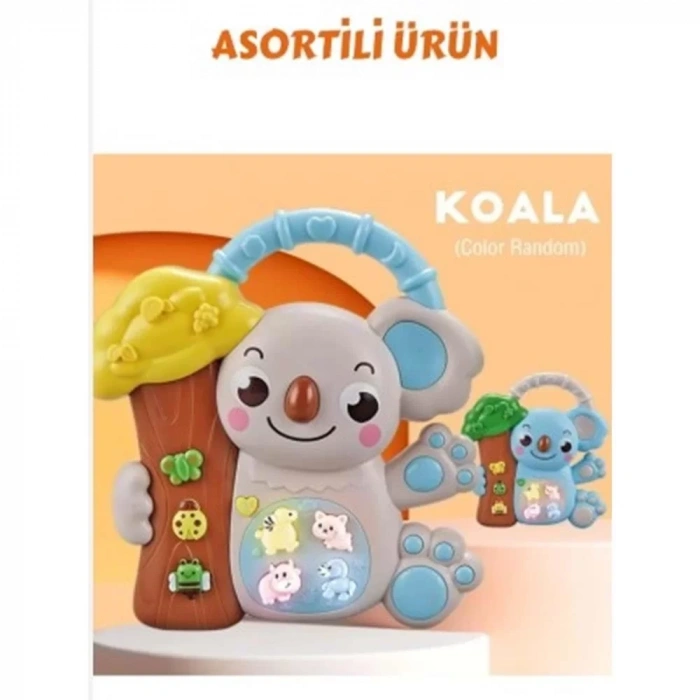 Üreticiniz 8808-c Koalalı Piyano 8 Li Box -cn