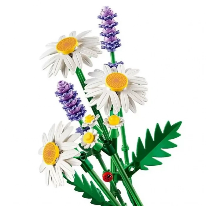 Üreticiniz Botanicals Papatyalar 11508