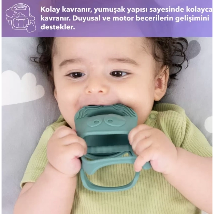 Üreticiniz Diş Kaşıyıcı Somon
