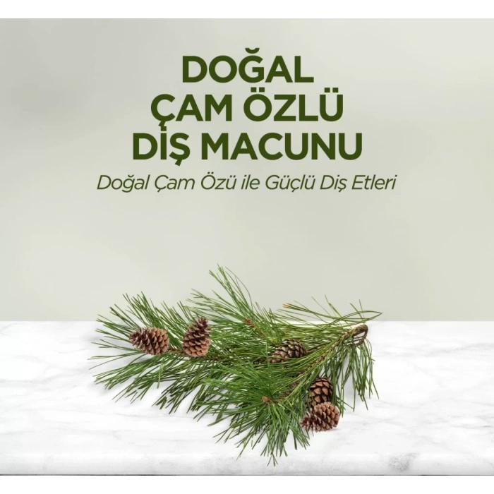 Üreticiniz Doğal Diş Macunu 90 Gr Çam Özlü