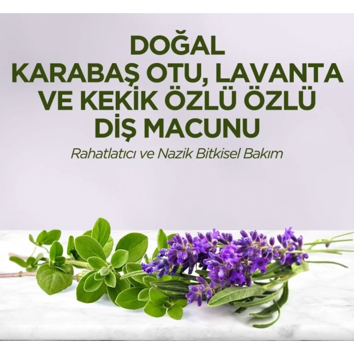 Üreticiniz Doğal Diş Macunu 90 Gr Karabaş Otu & Lavanta Ve Kekik Özlü