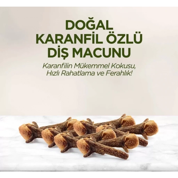 Üreticiniz Doğal Diş Macunu 90 Gr Karanfil