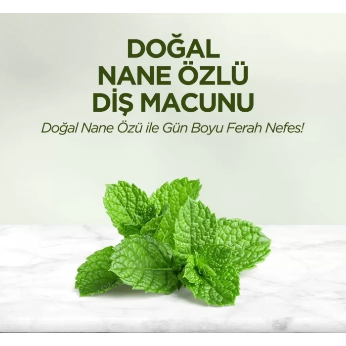 Üreticiniz Doğal Diş Macunu 90 Gr Nane Özlü
