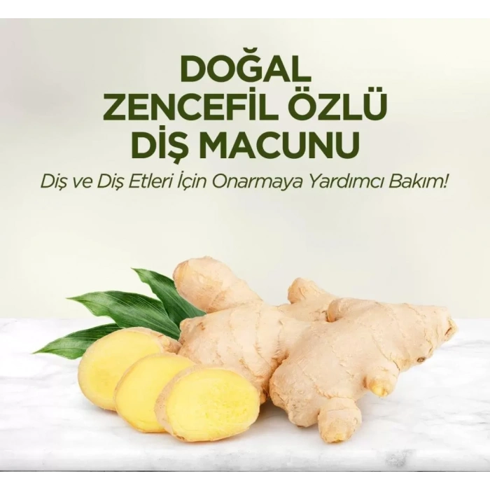 Üreticiniz Doğal Diş Macunu 90 Gr Zencefil Özlü