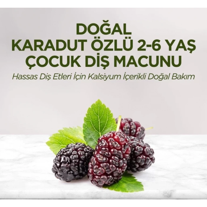 Üreticiniz Doğal Karadut Özlü Diş Macunu 2-6 Yaş 60 Ml