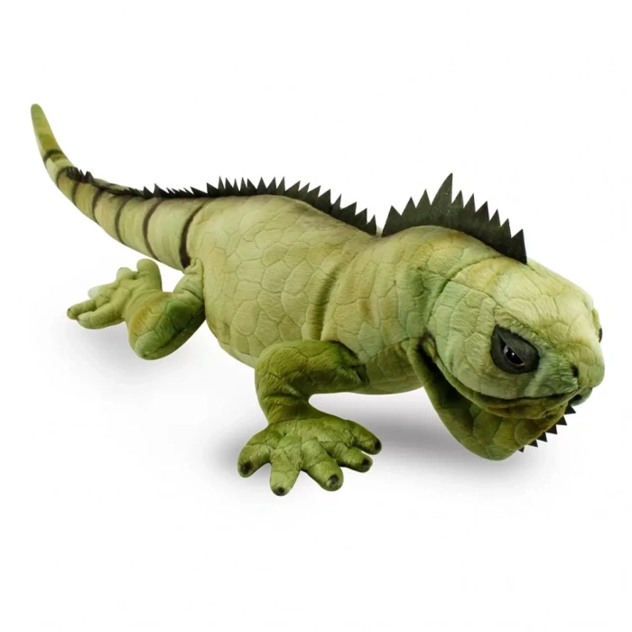 Üreticiniz İguana 66 Cm