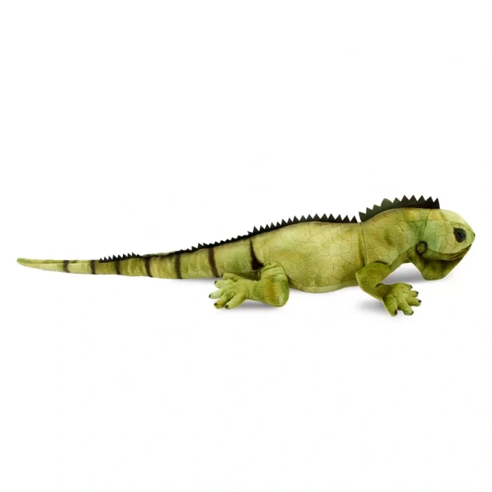 Üreticiniz İguana 66 Cm