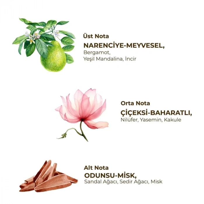 Üreticiniz Kadın Roll On Deodorant 75 Ml Active