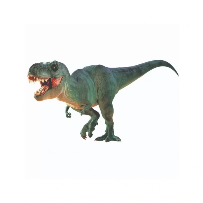 Üreticiniz Nat06002dino Kazı Kiti - Rtngdıno2 +8 Yaş