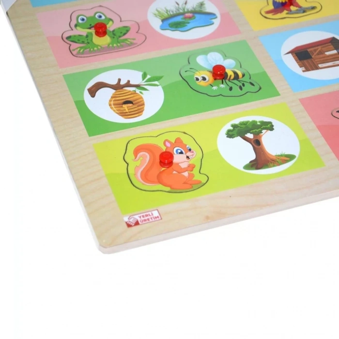 Üreticiniz Ony-363-364 Ahşap Tutmalı Eşleştirme Hangi Hayvan Nerede Yaşar