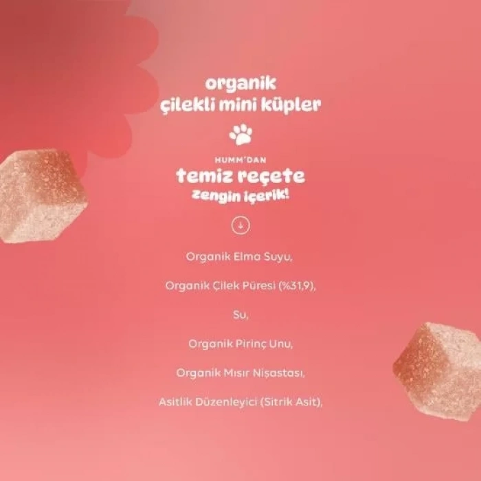 Üreticiniz Organik Çilekli Glutensiz Vegan Mini Küpler 30 Gr
