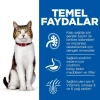 Hills Mature +7 Tavuklu Yaşlı Kedi Maması 1.5 Kg