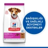 Hills Puppy Small & Mini Kuzu Etli Küçük Irk Yavru Köpek Maması 6 Kg