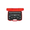 İzeltaş 1113006017 1/2 Lokmalı Allen ve Star (Torx®) Uç Takımı 17 Parça