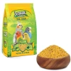 Jungle Kuş Maması 100 Gr 12li Paket