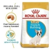 Royal Canin French Bulldog Junior Yavru Köpek Maması 3 Kg