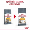 Royal Canin Hair Skin Deri ve Tüy Sağlığı için Kedi Maması 10 Kg