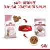 Royal Canin Kitten Sterilised Pouch Kısırlaştırılmış Yavru Konserve Kedi Maması 1 Adet 85 Gr