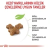 Royal Canin Kitten Yavru Kedi Maması 2 Kg